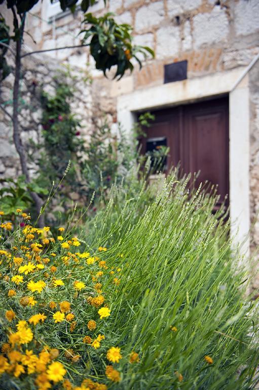Dalmatian Garden - Free Parking - City Centre Szybenik Pokój zdjęcie